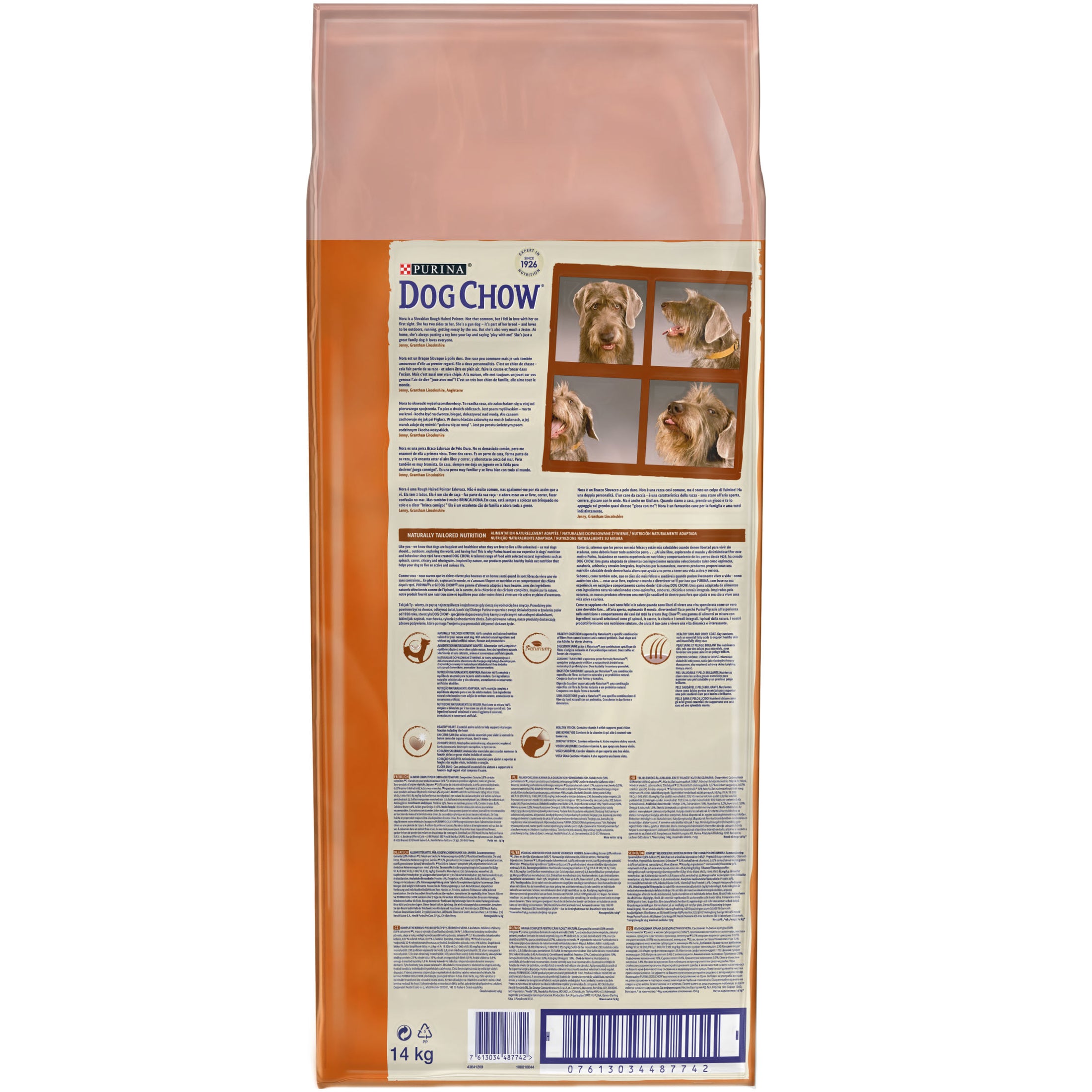 Purina Dog Chow Senior с агнешко - Zoo-PetShop