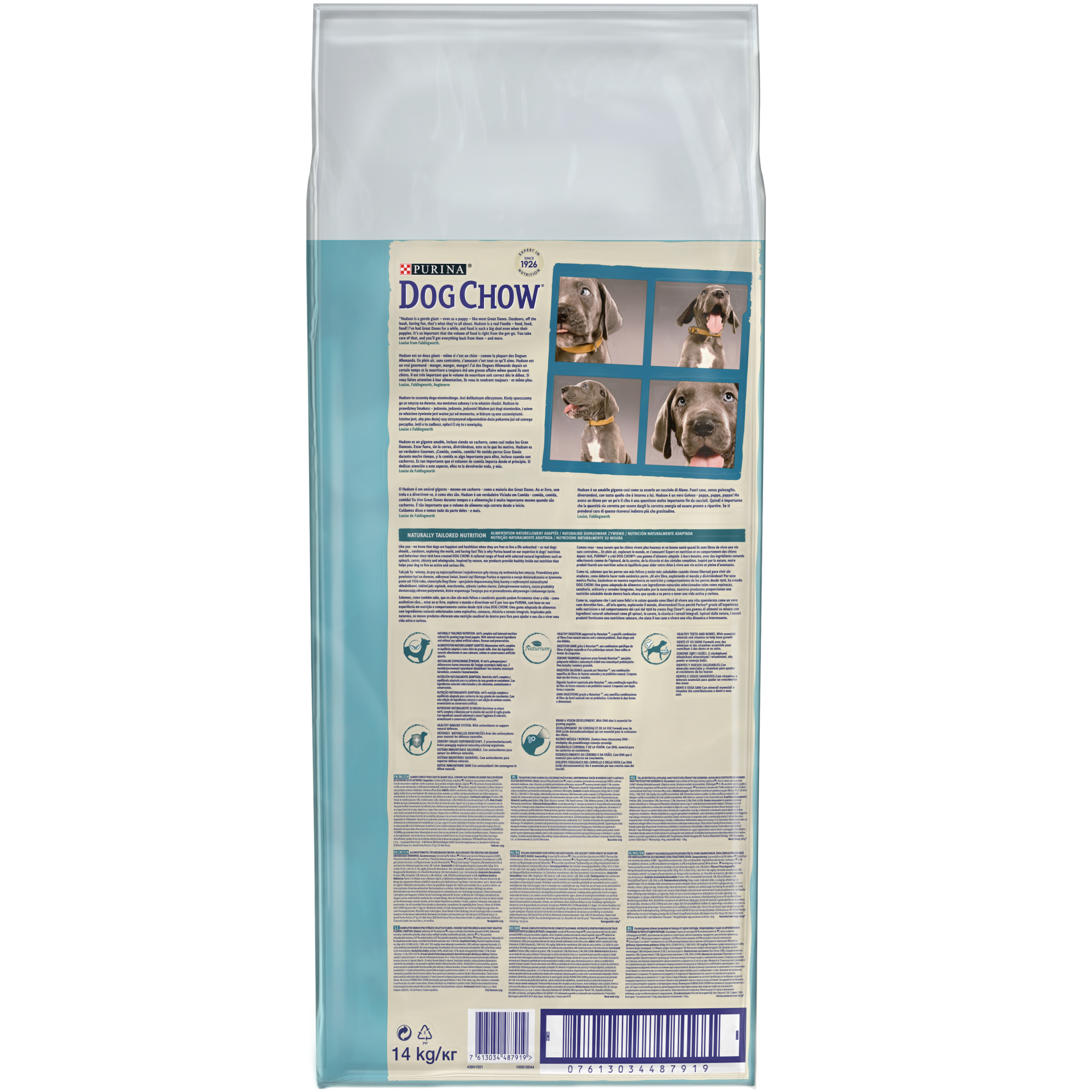 Purina Dog Chow Puppy Large Breed пуйка - Zoo-PetShop