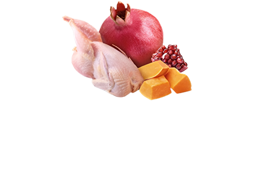 N&D Pumpkin Dog Quail & Pumpkin