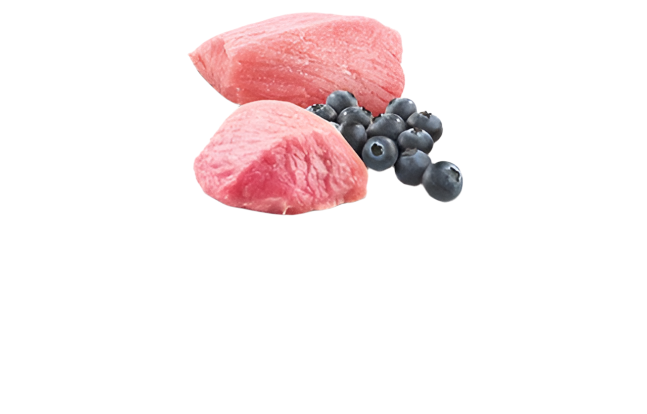 N&D Prime Cat Lamb & Blueberry
