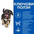 Заредете изображението в програмата за преглед на галерия, Hill's Science Plan Puppy Perfect Digestion Medium - Zoo-PetShop