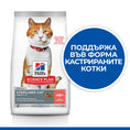 Заредете изображението в програмата за преглед на галерия, Hill's Science Plan Feline & Adult Sterilised Salmon - Zoo-PetShop