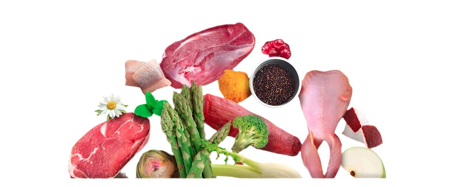 N&D Quinoa Digestion
