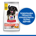 Заредете изображението в програмата за преглед на галерия, Hill's Science Plan Puppy Perfect Digestion Medium - Zoo-PetShop