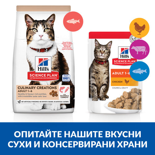 Hill's Science Plan Culinary Creations Cat Adult Salmon & Carrots - Zoo-PetShop