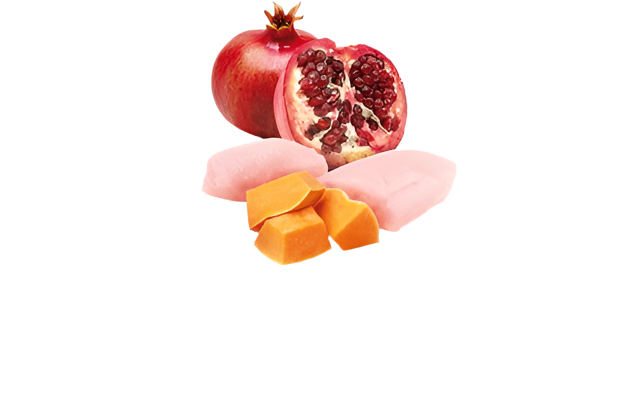 N&D Pumpkin Dog Chicken, Pumpkin & Pomegranate