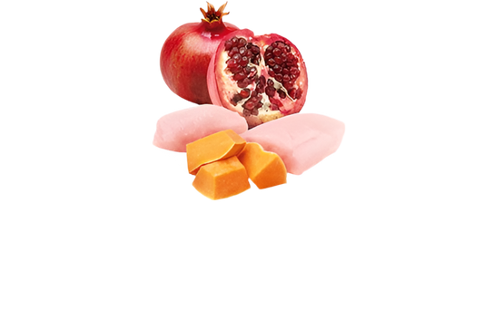 N&D Pumpkin Dog Chicken, Pumpkin & Pomegranate