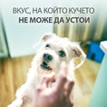 Заредете изображението в програмата за преглед на галерия, Hill's Healthy Weight Treats - Zoo-PetShop