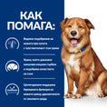 Заредете изображението в програмата за преглед на галерия, Hill's PRESCRIPTION DIET Derm Complete - Zoo-PetShop