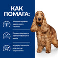 Заредете изображението в програмата за преглед на галерия, Hill's PRESCRIPTION DIET z/d Food Sensitivities AB+ - Zoo-PetShop