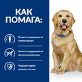 Заредете изображението в програмата за преглед на галерия, Hill's PRESCRIPTION DIET j/d Joint Care - Zoo-PetShop