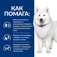 Заредете изображението в програмата за преглед на галерия, Hill's PRESCRIPTION DIET k/d + Mobility - Zoo-PetShop