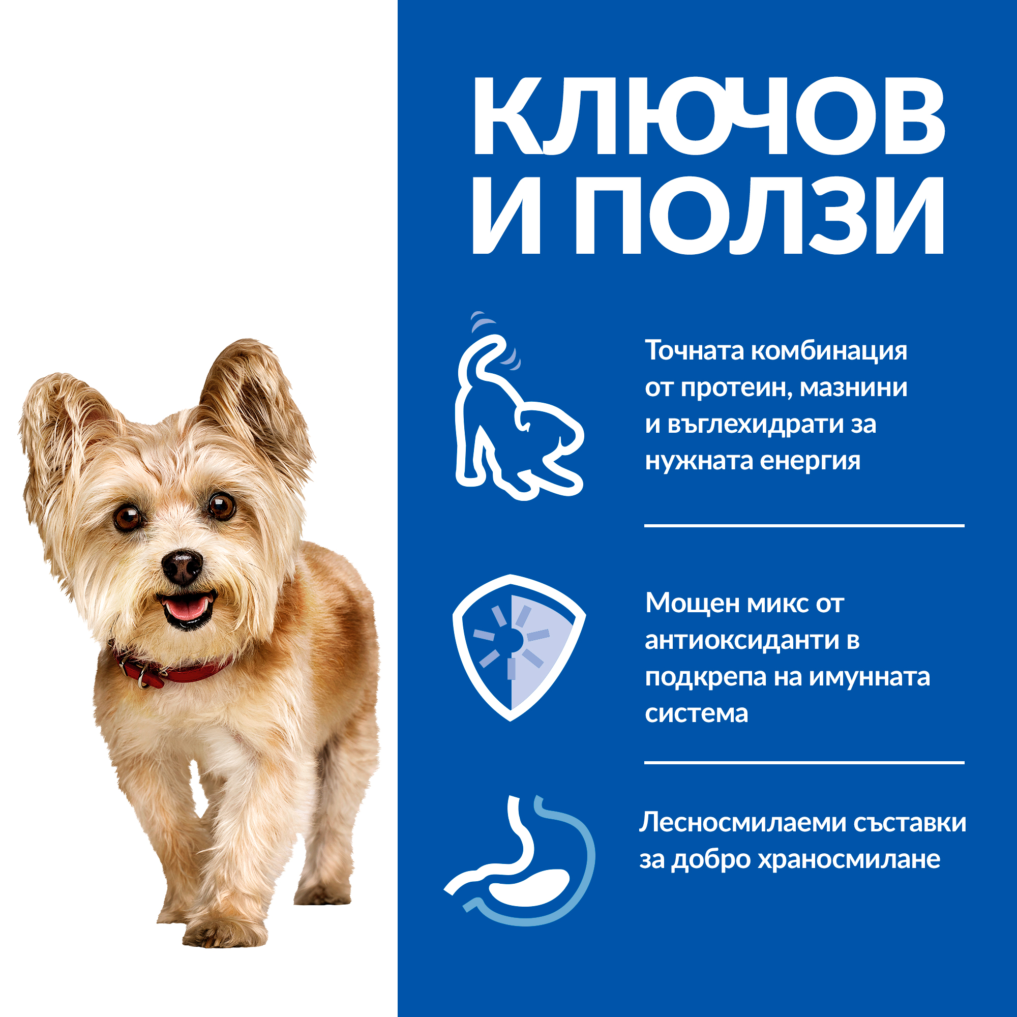 Hill’s Science Plan Small & Mini Mature Mousse Говеждо - Zoo-PetShop