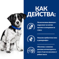 Заредете изображението в програмата за преглед на галерия, Hill's PRESCRIPTION DIET i/d Stress Mini - Zoo-PetShop