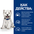 Заредете изображението в програмата за преглед на галерия, Hill's PRESCRIPTION DIET Derm Complete Mini - Zoo-PetShop