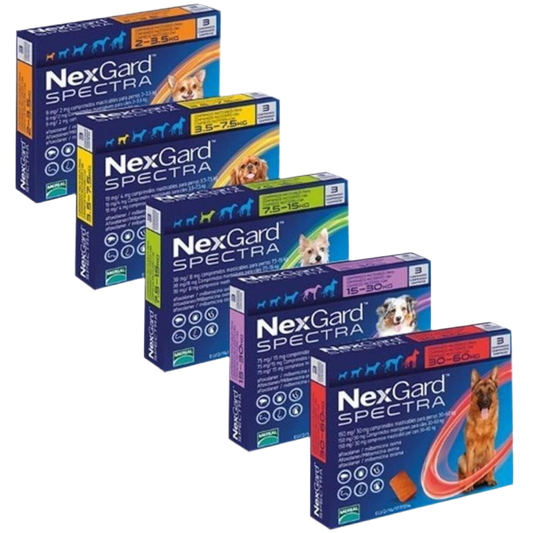 NEXGARD SPECTRA – НЕКСГАРД СПЕКТРА СРЕЩУ БЪЛХИ, КЪРЛЕЖИ, ДИРОФИЛАРИОЗА, КРЪГЛИ ЧЕРВЕИ, 7.5-15 кг -3 бр. в кутия