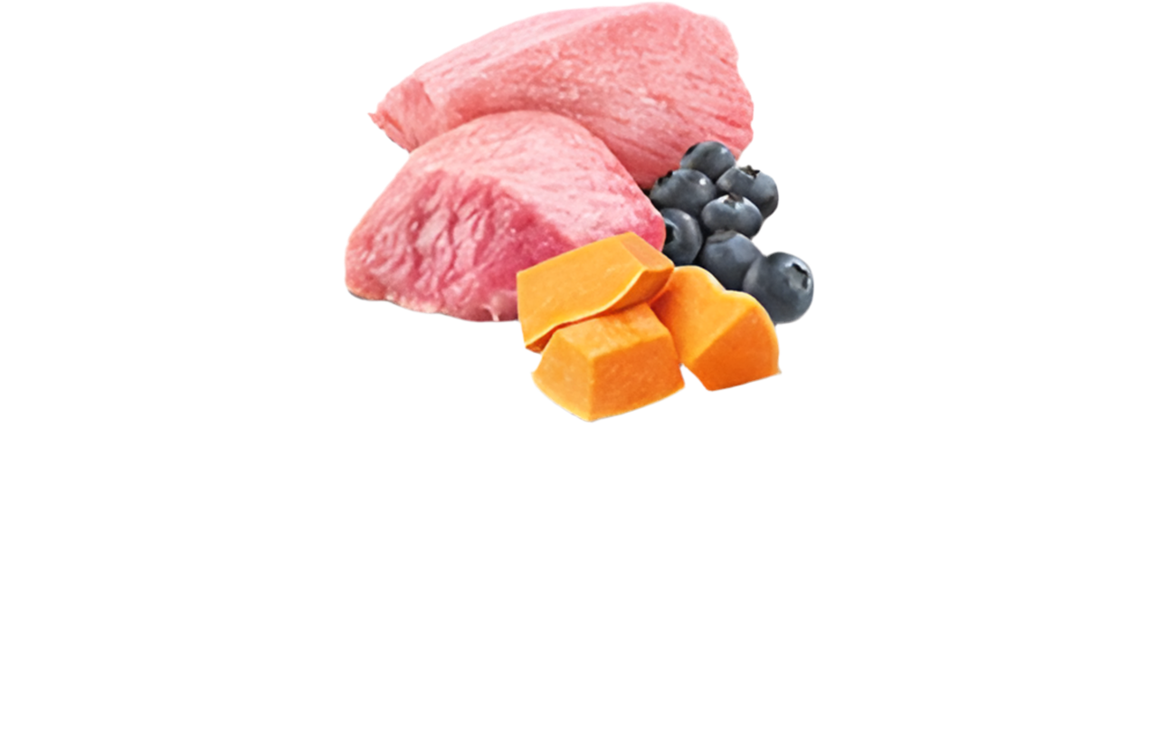N&D Pumpkin Cat Lamb, Pumpkin & Blueberry