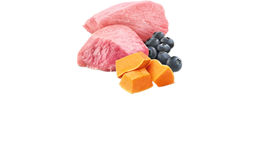 N&D Pumpkin Cat Lamb, Pumpkin & Blueberry