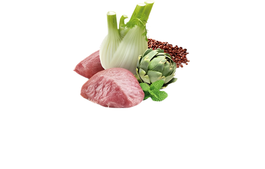 N&D Quinoa Digestion