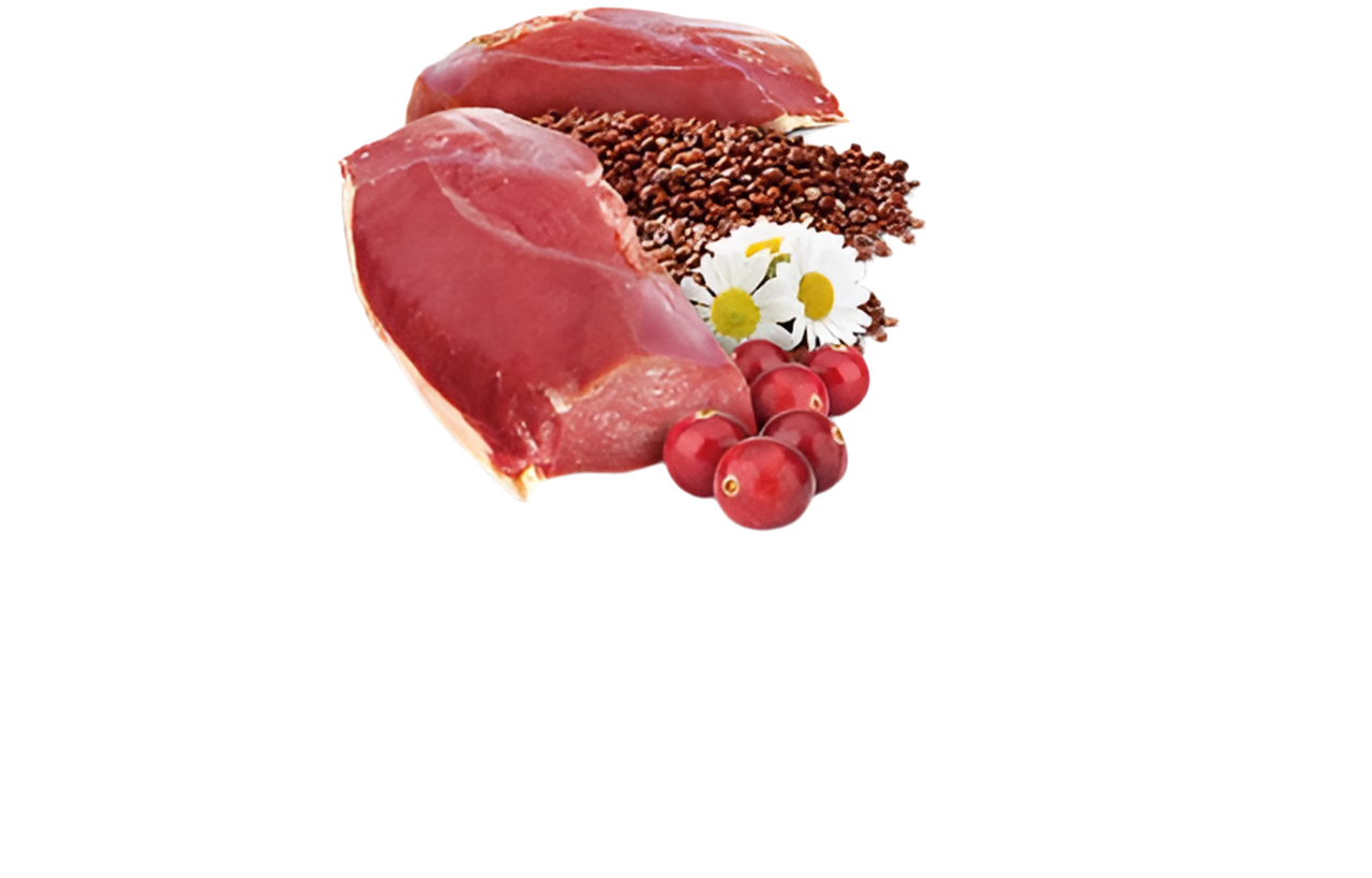 N&D Quinoa Cat Urinary