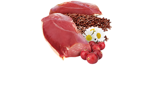 N&D Quinoa Cat Urinary