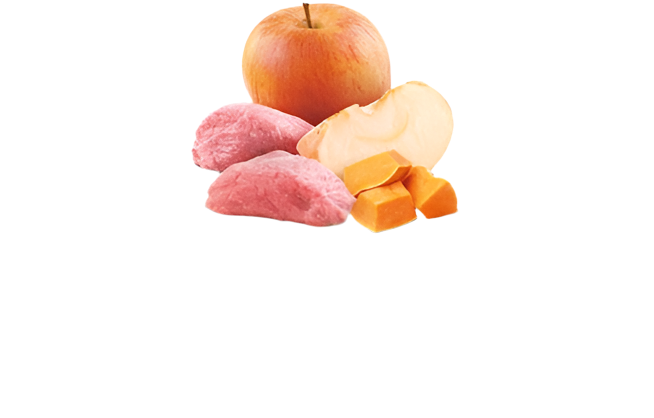 N&D Pumpkin Cat Boar, Pumpkin & Apple