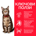 Заредете изображението в програмата за преглед на галерия, Hill's Science Plan Feline Adult Chicken - Zoo-PetShop