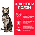 Заредете изображението в програмата за преглед на галерия, Hill's Science Plan Feline Adult Urinary Health Chicken - Zoo-PetShop