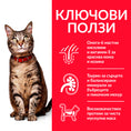 Заредете изображението в програмата за преглед на галерия, Hill's Science Plan Feline Adult Lamb & Rice - Zoo-PetShop