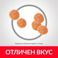 Заредете изображението в програмата за преглед на галерия, Hill's Science Plan Feline Mature Chicken - Zoo-PetShop