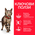 Заредете изображението в програмата за преглед на галерия, Hill's Science Plan Feline Adult & Perfect Weight Chicken - Zoo-PetShop
