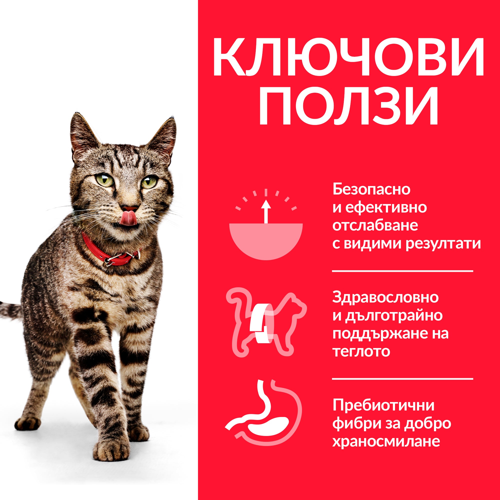 Hill's Science Plan Feline Adult & Perfect Weight Chicken - Zoo-PetShop