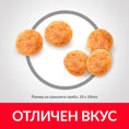 Заредете изображението в програмата за преглед на галерия, Hill's Science Plan Feline Adult Sensitive Stomach & Skin Chicken - Zoo-PetShop