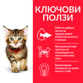 Заредете изображението в програмата за преглед на галерия, Hill's Science Plan Kitten с пилешко - Zoo-PetShop