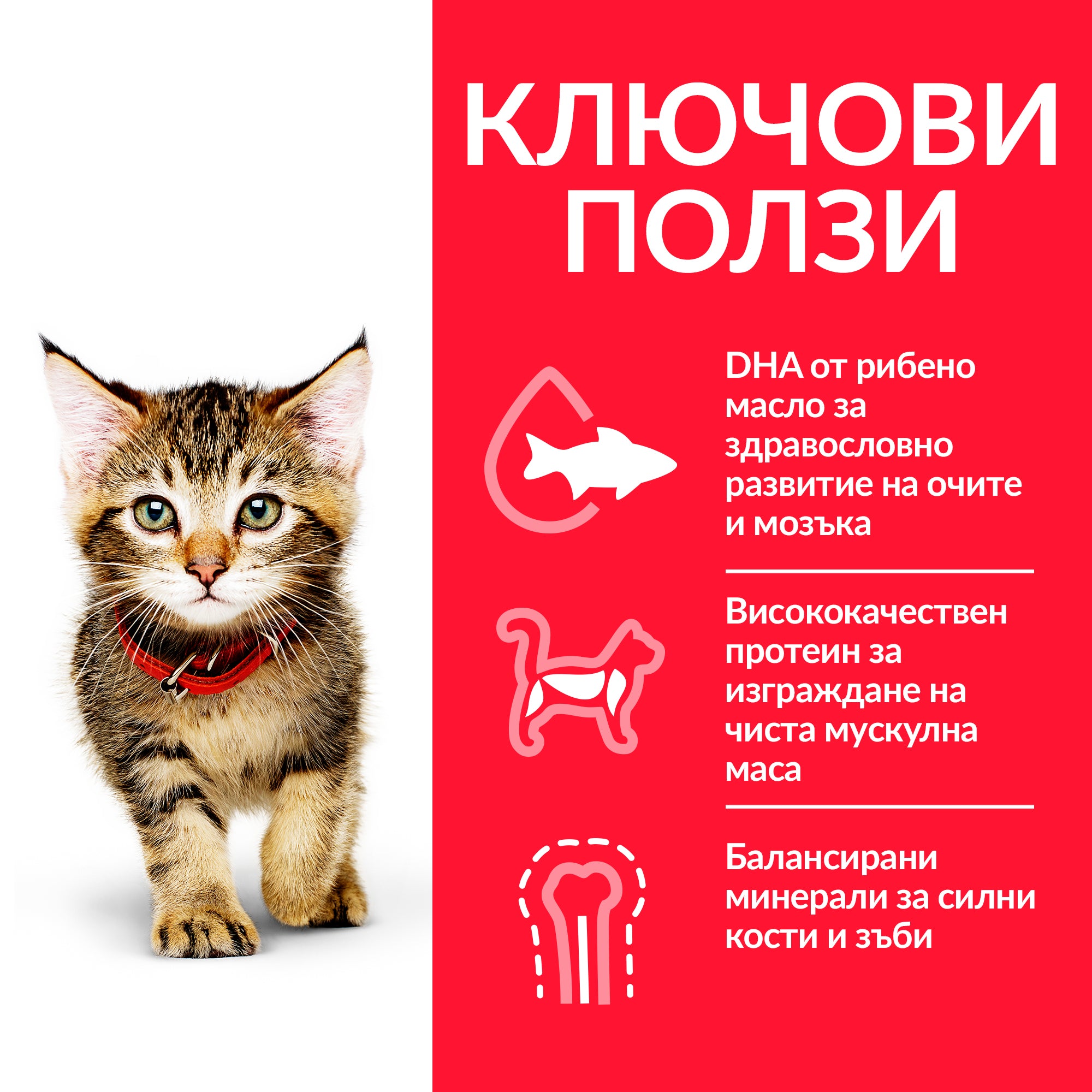 Hill's Science Plan Kitten с пилешко - Zoo-PetShop