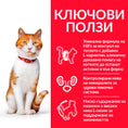 Заредете изображението в програмата за преглед на галерия, Hill's Science Plan Feline Adult Perfect Digestion - Zoo-PetShop