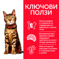 Заредете изображението в програмата за преглед на галерия, Hill's Science Plan Feline Mature Chicken - Zoo-PetShop
