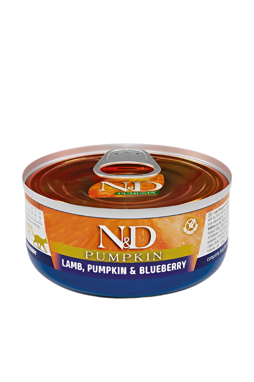 N&D Pumpkin Cat Lamb, Pumpkin & Blueberry