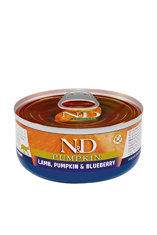 N&D Pumpkin Cat Lamb, Pumpkin & Blueberry