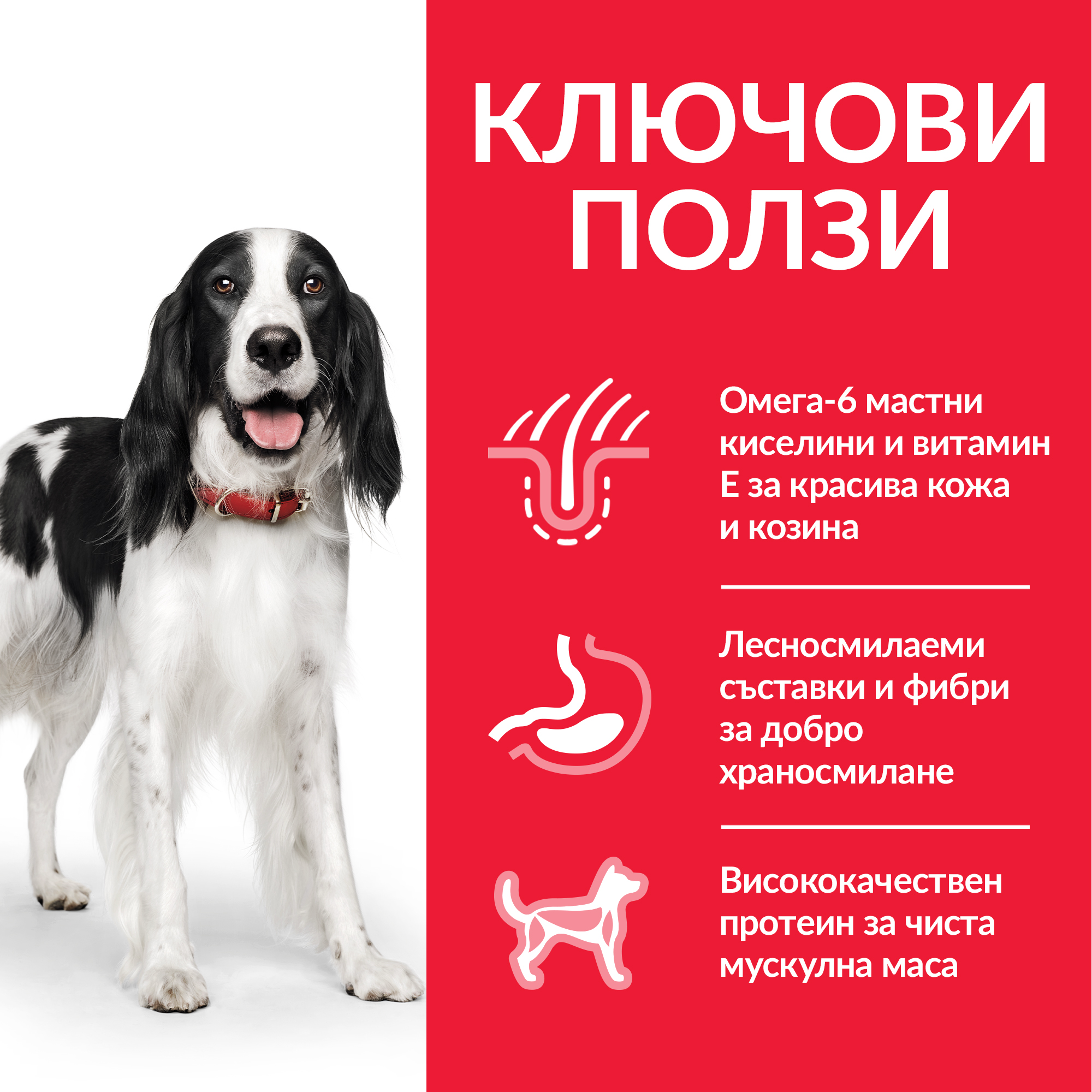 Hill’s Science Plan Puppy с пилешко - Zoo-PetShop