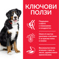 Заредете изображението в програмата за преглед на галерия, Hill's Science Plan Large Breed Adult с агнешко и ориз - Zoo-PetShop