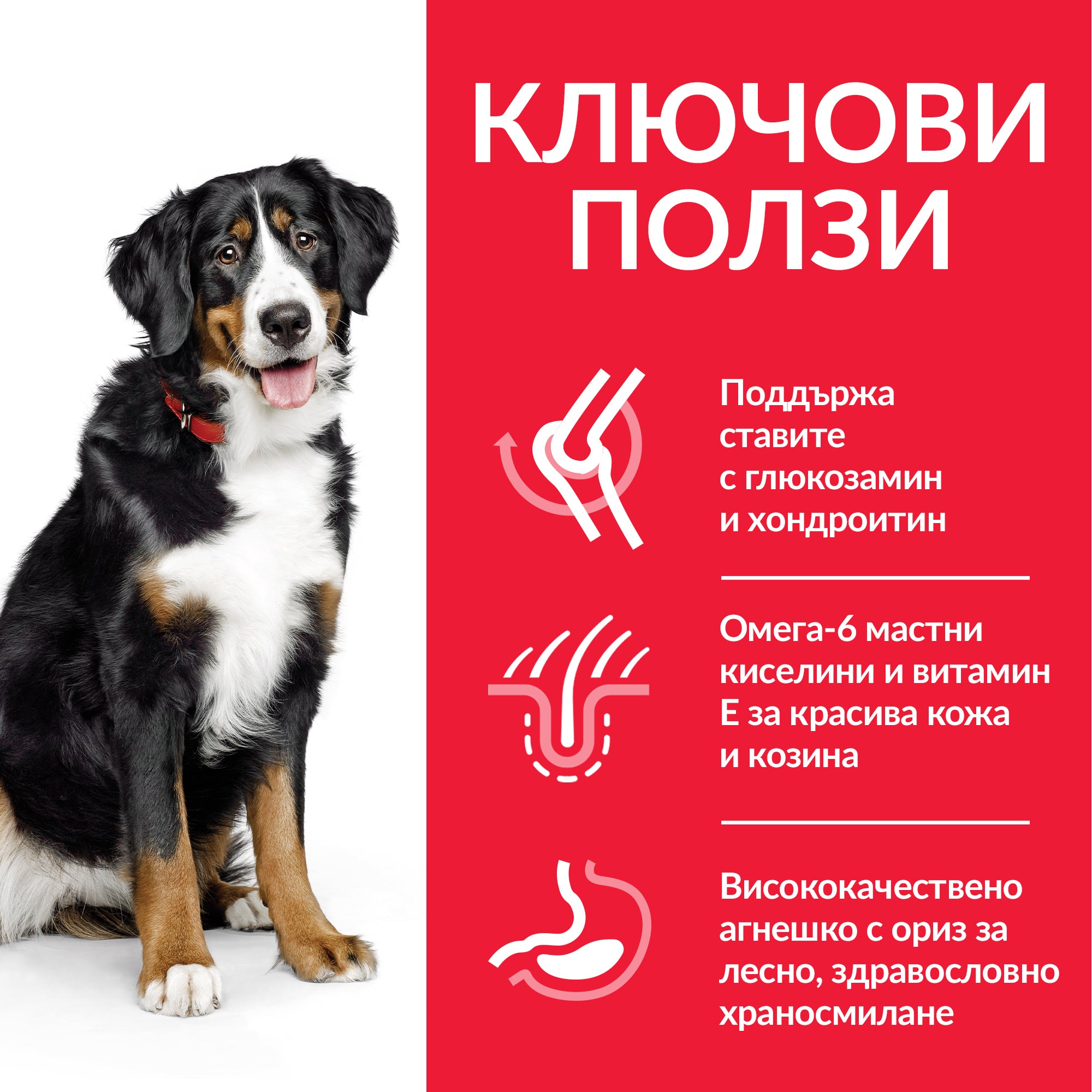 Hill's Science Plan Large Breed Adult с агнешко и ориз - Zoo-PetShop