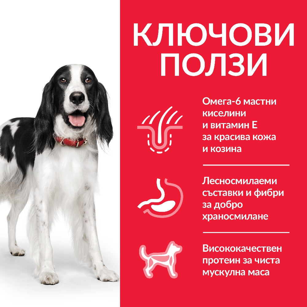 Hill's Science Plan Medium Adult с пилешко - Zoo-PetShop