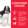 Заредете изображението в програмата за преглед на галерия, Hill’s Science Plan Canine Medium Adult с агнешко и ориз - Zoo-PetShop