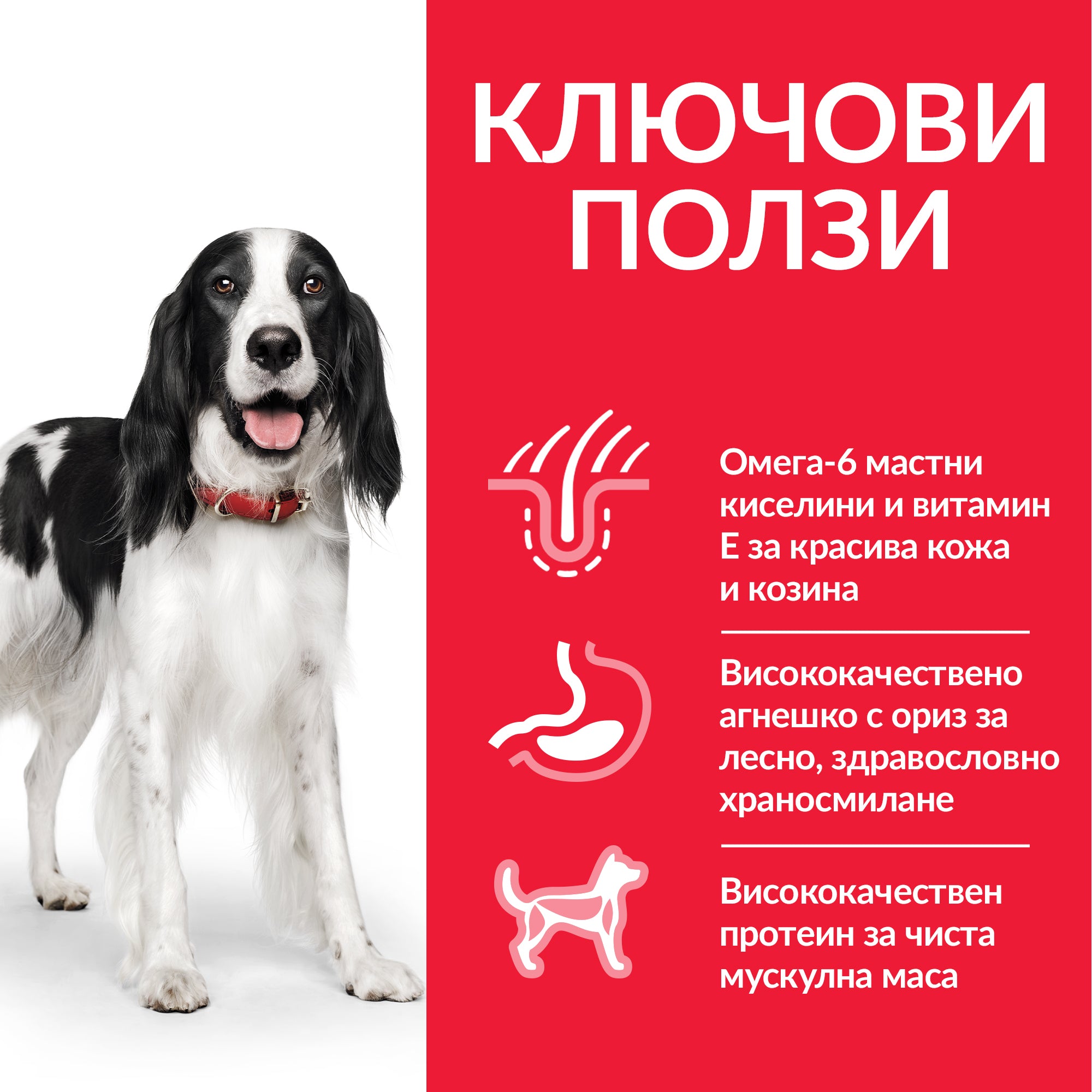 Hill’s Science Plan Canine Medium Adult с агнешко и ориз - Zoo-PetShop