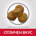 Заредете изображението в програмата за преглед на галерия, Hill’s Science Plan Canine Adult Light с пилешко - Zoo-PetShop