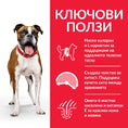 Заредете изображението в програмата за преглед на галерия, Hill’s Science Plan Canine Adult Light с пилешко - Zoo-PetShop