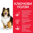 Заредете изображението в програмата за преглед на галерия, Hill’s Science Plan Adult Sensitive Stomach - Zoo-PetShop