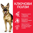 Заредете изображението в програмата за преглед на галерия, Hill’s Science Plan Canine Mature Adult Large Breed с пилешко - Zoo-PetShop