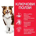 Заредете изображението в програмата за преглед на галерия, Hill’s Science Plan Canine Medium Adult с агнешко и ориз - Zoo-PetShop
